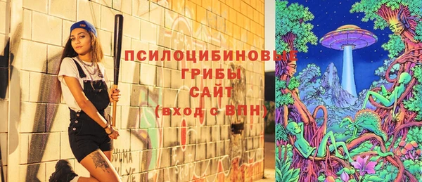 тгк Балахна