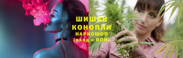 spice Алзамай