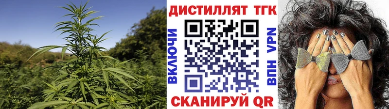 omg ONION  Электрогорск  Дистиллят ТГК концентрат 