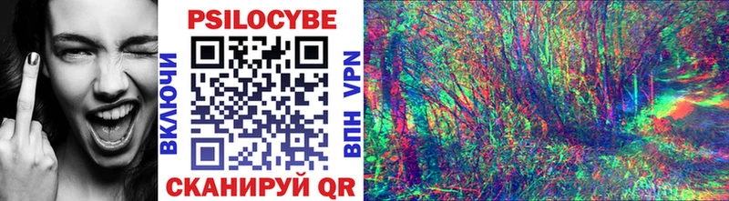 Псилоцибиновые грибы мухоморы Электрогорск